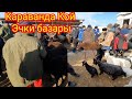 Караванда Кой -Эчки базары.5-Февраль.