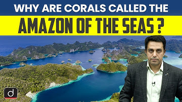 What is the Coral Triangle? | Importance of Coral Reefs Explained | UPSC | Drishti IAS English