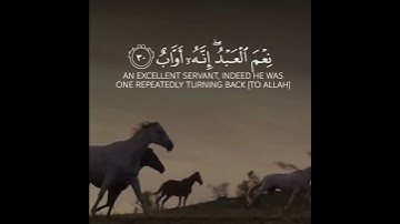 ووهبنا لداوود سليمان نعم العبد إنه أواب || القارئ إسلام صبحي || سورة ص