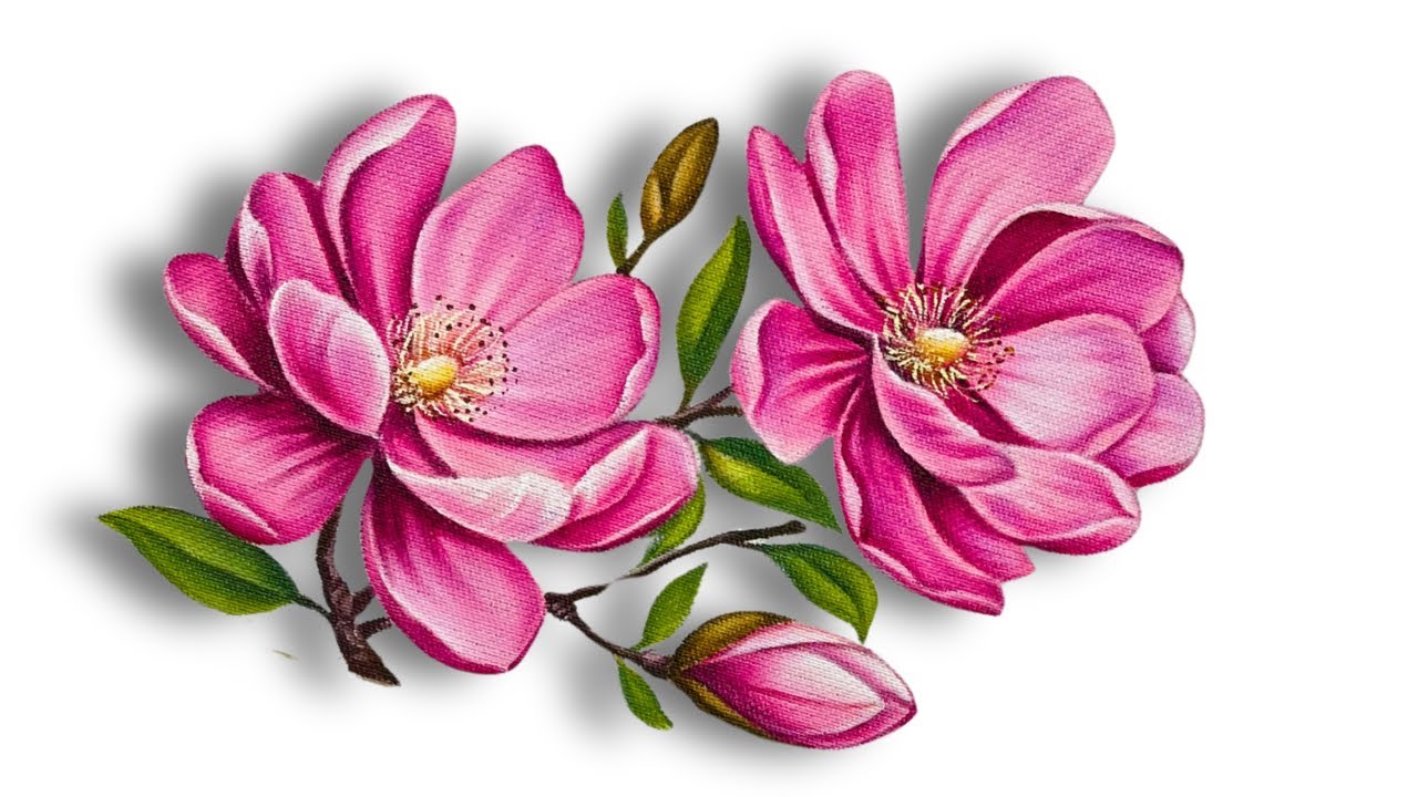 COMO PINTAR MAGNÒLIAS EM TECIDO