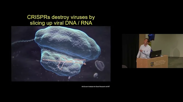 MED Talks: CRISPR Strategies to Study RNA Biology | Mitchell O’Connell, PhD