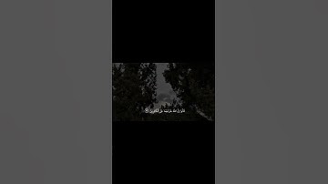 سورة الأعراف | الشيخ حاتم فريد الواعر #حاتم_فريد #المصحف #quran #قرآن