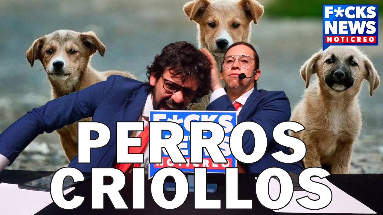 F*cksNews Bilbao: Perros Criollos