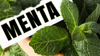 I Benefici Della Menta