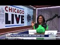 Millionaire tax proposal could reshape Illinois finances, study finds | ChicagoLIVE
