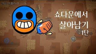 쇼다운에서 살아남는법/내셔널 지오그라핔 하이라이트/ SB에스