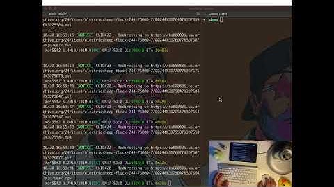 How to download torrent using aria2