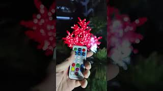 Remote Controlled Christmas Lights - Smart Bright LEDs