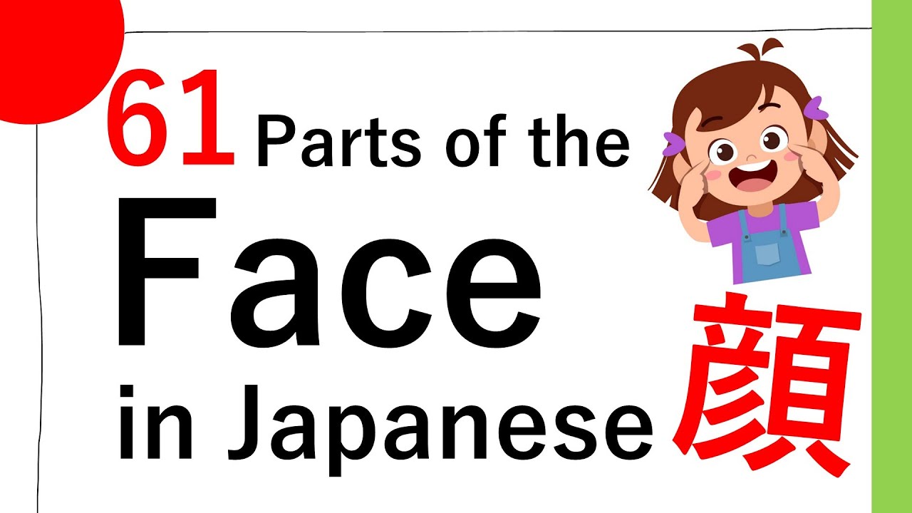[Vocabulary] 61 Parts of the Face in Japanese / 顔に関する日本語61個（かおにかんするにほんご