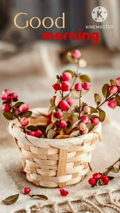 BEAUTIFUL GOOD MORNING IMAGES #shorts