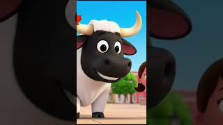 Boi da Cara Preta pelo Mundo 🇺🇸Canadá