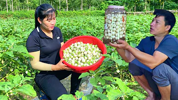 Together Harvest eggplant.  Preserved salt is enough to last for a month