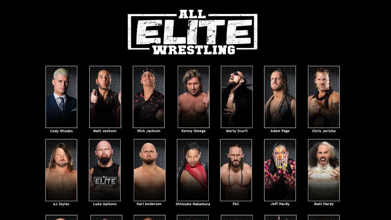 the-elite-could-be-making-their-own-company-aew-all-elite-wrestling