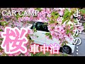 【NBOX 一人車中泊】春の訪れ 桜を求めて車中泊へ 夜はまさかの事態に… ポータブル電源で快適に