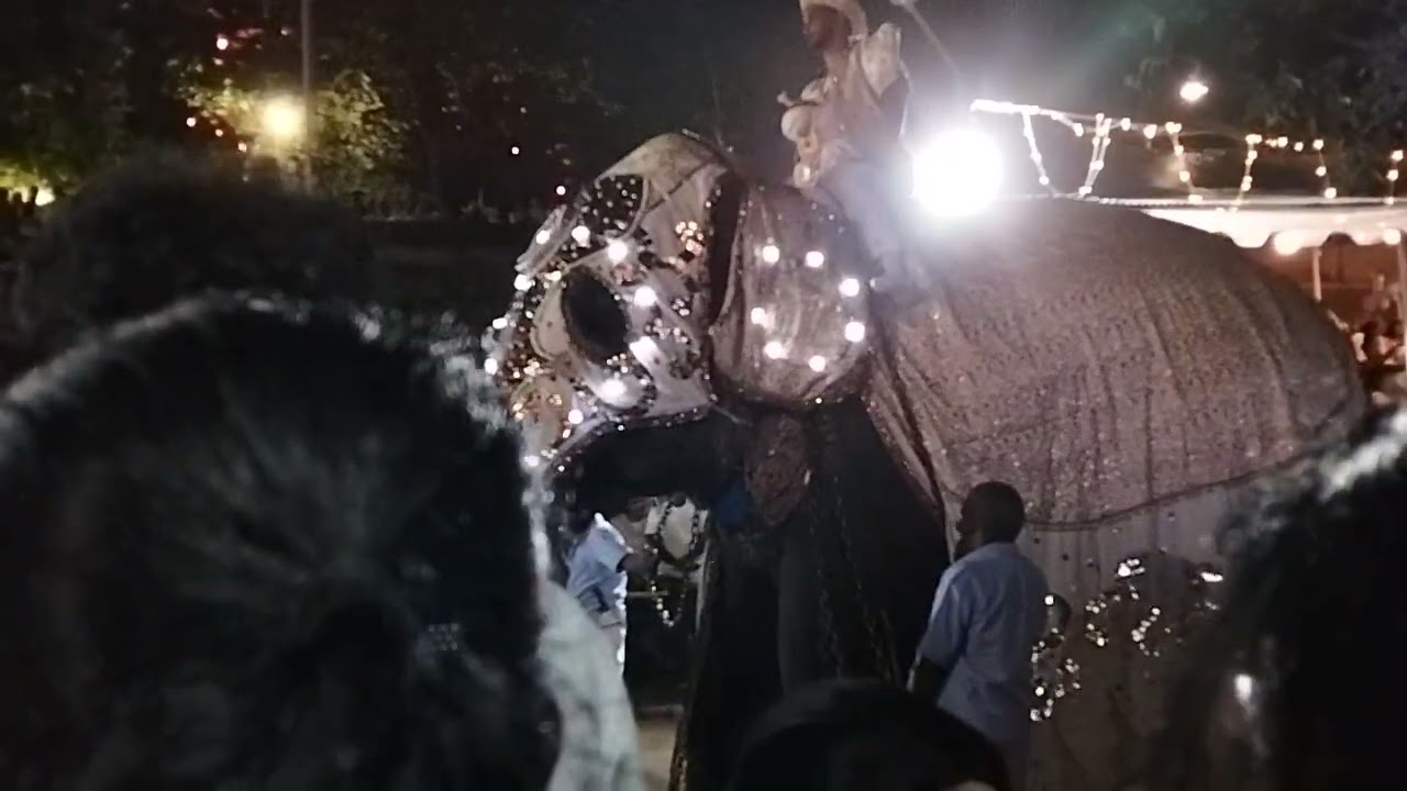 Kelaniya Temple 2026 Perahera | කැලණි විහාරය 2026 පෙරහැර මංගල්‍යය 