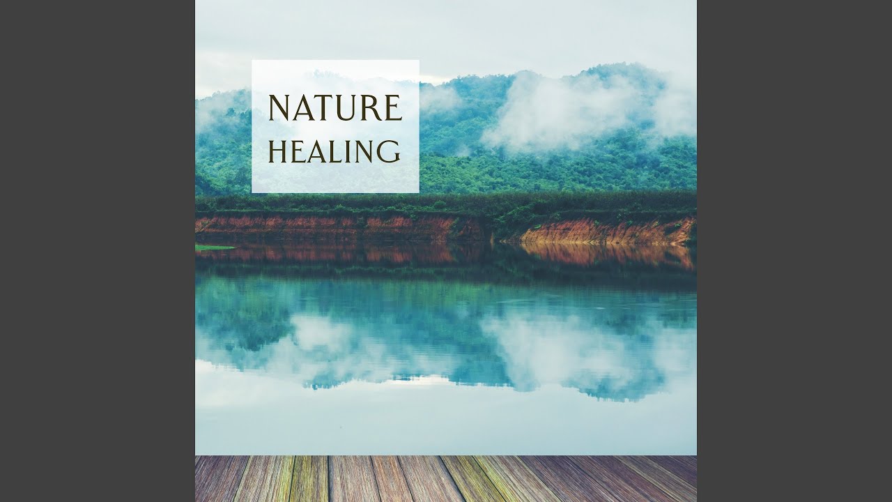 Watch The Farmer in the Dell on YouTube