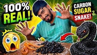 “Ghar Pe Banaya Carbon Sugar Snake 🐍 | Shocked Ho Jaoge!” 😱