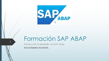 Diccionario de datos - Video 4