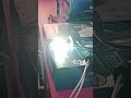 Tasting car LED light bulb 💡#carledlights #shorts #shortvideo