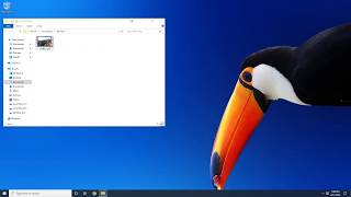 Convert MP4 to WMA