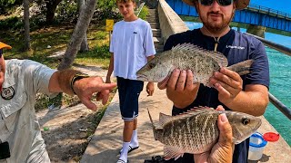Fishing the 7 Mile Bridge | Florida Keys (Catch & Cook) 