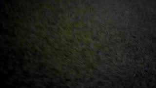 Famous logo news poo episode 2 Net Worth