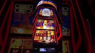 Lion Link Fortune Tiger at Meskwaki Casino Tama 9:30pm Thursday  screenshot 2