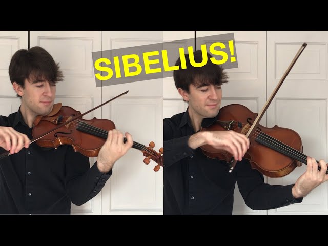 Violin vs. Viola Playing the Same Pieces class=