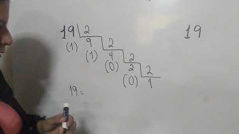 conversión de números decimales a binarios y quinarios