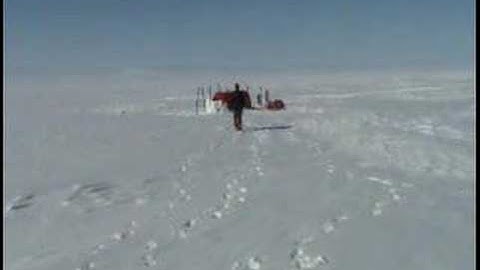 Feet of Green 070508