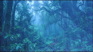 ⛈️Thunderstorm Rain Sounds –⛈️ Calming Heavy Rain & Thunder on Cozy Night for Deep Sleep Relief Now
