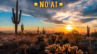 Saguaro Land | Western Ambient | Cowboy Calming Music | NO AI