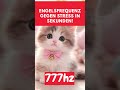 😍😱 ENGELSFREQUENZ GEGEN STRESS IN SEKUNDEN! FINDE DEINE INNERE RUHE MIT 777Hz