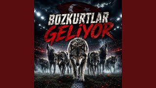 Bozkurtlar Geliyor