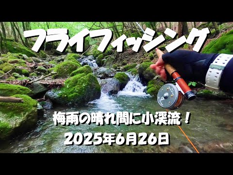 フライフィッシング ～梅雨の晴れ間に小渓流！～ 2025年6月26日