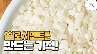 벽돌도 붙이는 쌀로 만든 본드! [미나니의 스낵교양]