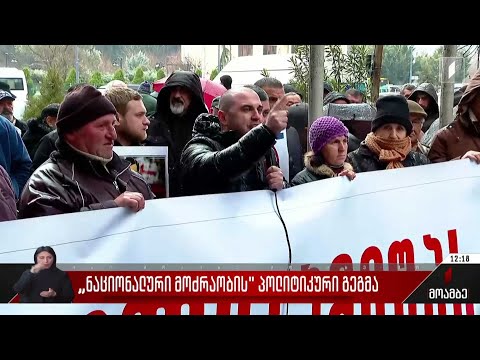 „ნაციონალური მოძრაობის“ პოლიტიკური გეგმა