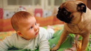Puppies and Babies Playing Together Compilation NEW
