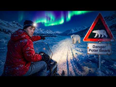 Thumbnail for I Visited the Arctic To Search For a Polar Bear