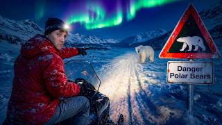 I Visited The Arctic To Search For A Polar Bear