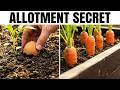 30 Forgotten British Allotment Tricks From the Dig for Victory Years