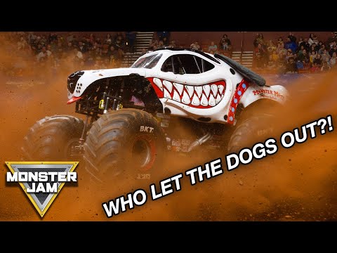 MOST MEMORABLE DOG TRUCK HIGHLIGHTS