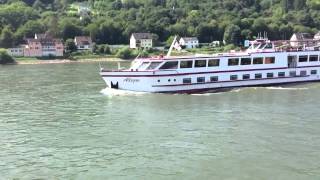 Ms Allegra Bei Lahnstein Auf Der Fahrt Rheinaufwärts Am 21.08.2013.