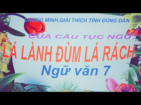 Video Đề thi giữa kì 2:Giải thích, chứng minh tính đúng đắn... - YouTube