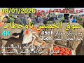 أثمنة الغنم والدجاج واللحوم والخضر سوق الخميس عين تاوجطات اليوم 08 01 2026 