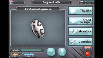 Seneca CDOT Processing.js Spotlight