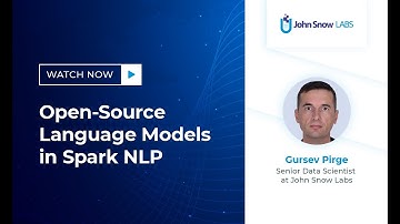 Open-Source Language Models in Spark NLP