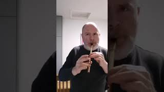 The Pigeon on the Gate, reel on a Thornton V6 D whistle