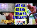 Spiderman Incident PBA Philippine Cup 2019 Finals TUNAY NA DAHILAN 