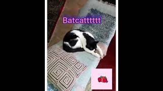 Ğa Ğalyaşam Ğal Öpek